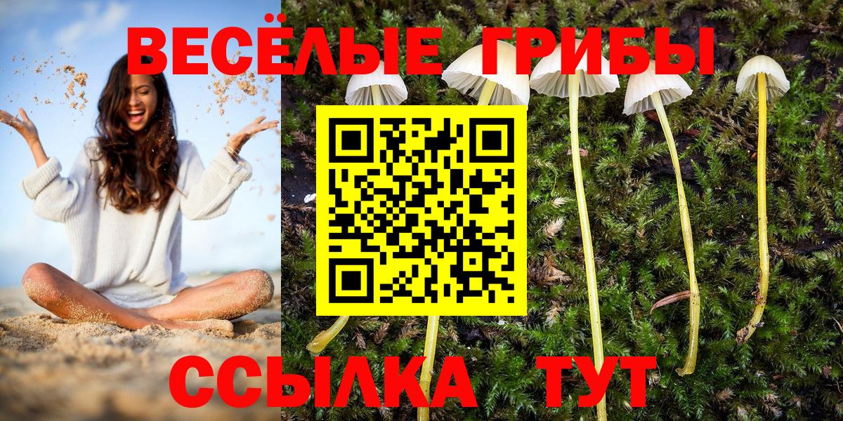 Отрадное  Псилоцибиновые грибы Magic Shrooms  Псилоцибиновые грибы мухоморы  Вход с VPN 