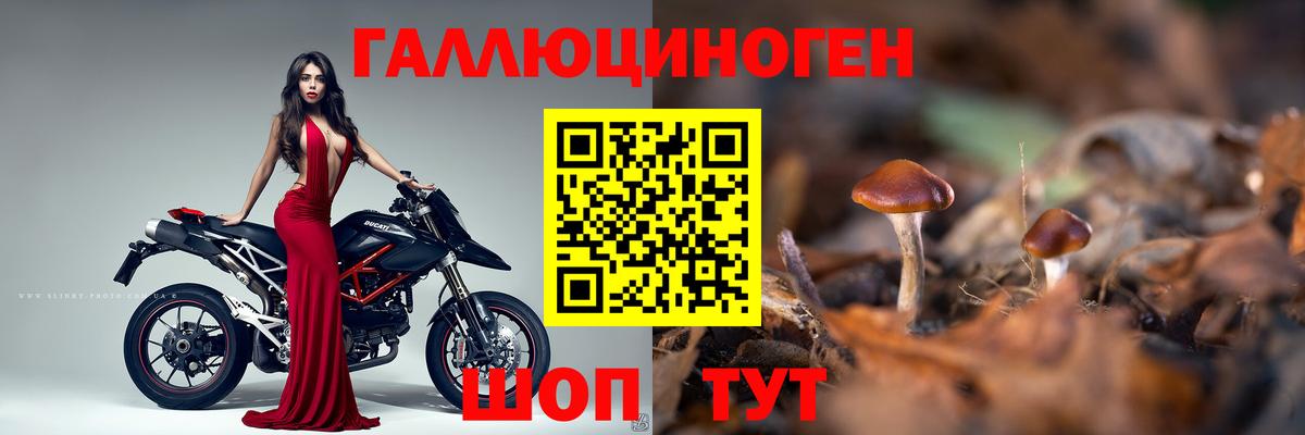 Псилоцибиновые грибы Magic Shrooms Отрадное
